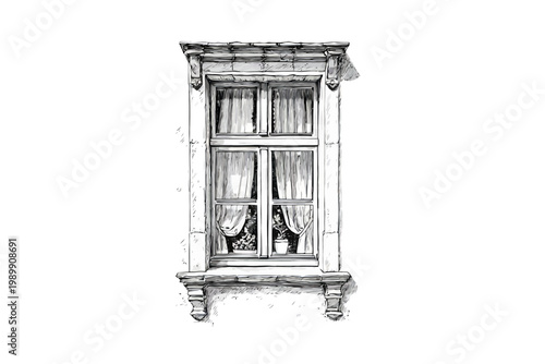 Elegant architectural sketch of vintage window with curtains and flower pot