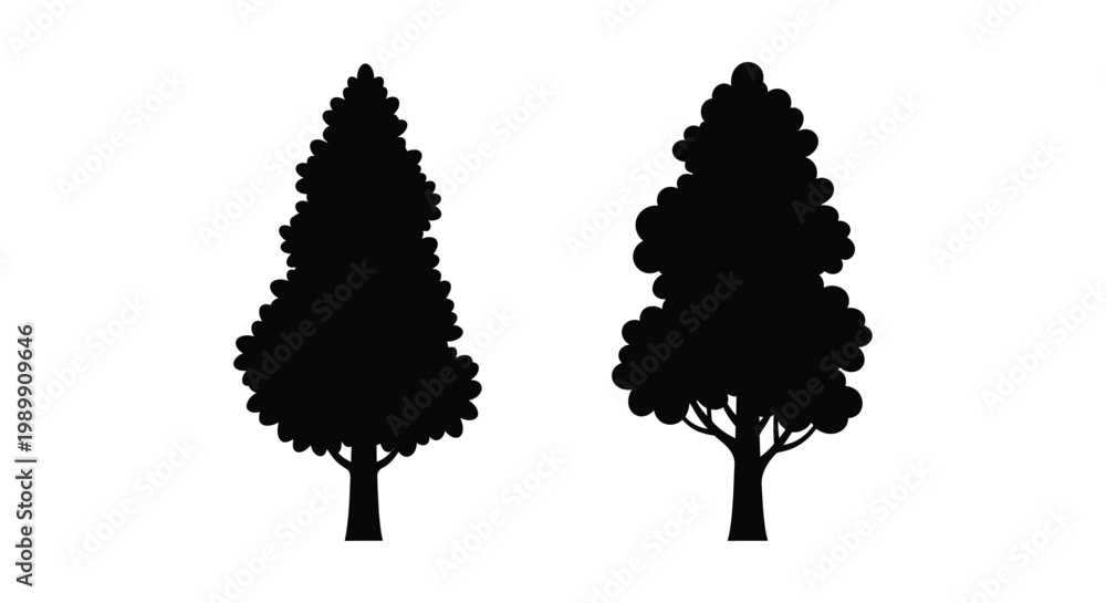 Fototapeta premium Two dark coniferous trees against a white background silhouette