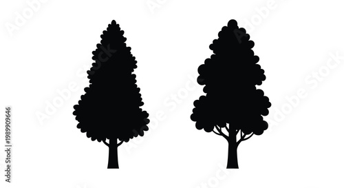 Two dark coniferous trees against a white background silhouette