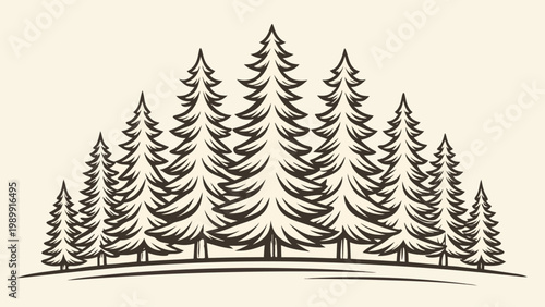 Black and white winter forest silhouette engraving