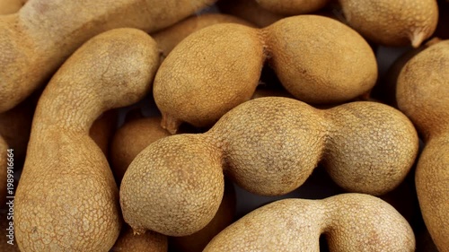Brown tamarind fruit pods circle rotation close up