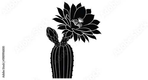 Detailed black silhouette of a blooming cactus with intricate petal design silhouette