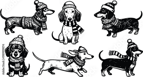 Black and white line art dachshund set six poses wearing beanies and scarves winter style