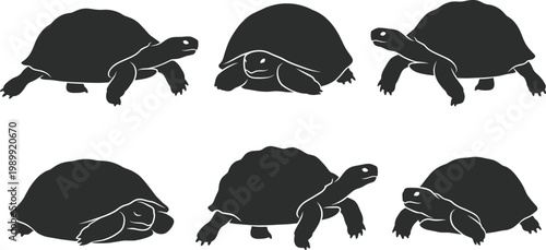 Tortoise silhouettes collection, land turtles in various poses including walking and resting, black vector set for wildlife, nature, reptile and animal design use
