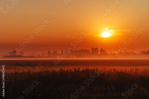 Foggy field at sunrise with silhouettes of trees and orange sky