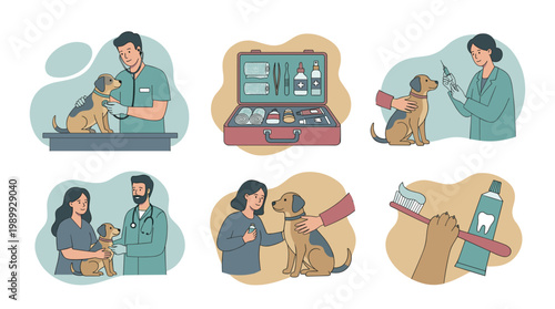 Veterinary Care Flat Illustration Set: Pet Examination, First Aid Kit, Vaccination, and Dental Hygiene