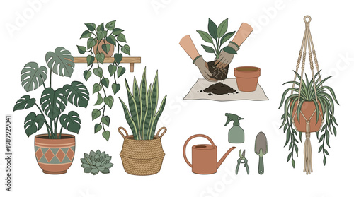 Indoor plant care collection: flat vector illustrations of repotting, gardening tools, and organic houseplants.