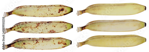 Isolated Yellow Ripe Bananas In Different Stage Of Ripeness With Brown Sugar Spots Senescence Spots 3d Illustration