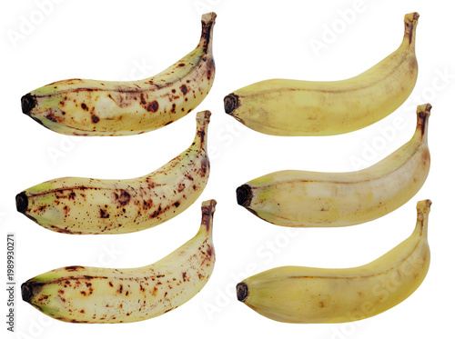 Isolated Yellow Ripe Bananas In Different Stage Of Ripeness With Brown Sugar Spots Senescence Spots 3d Illustration