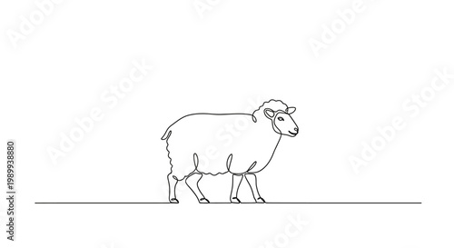 Fényképezés Minimalist Sheep Line Drawing, Single Animal Silhouette on White Background