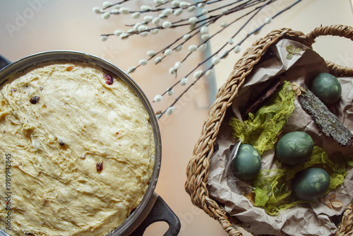 Preparing the dough with raisins for baking kulich, stretching the dough