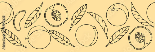 Peach in doodle style, seamless border pattern. Vector illustration of fruits. Apricot, nectarine.
