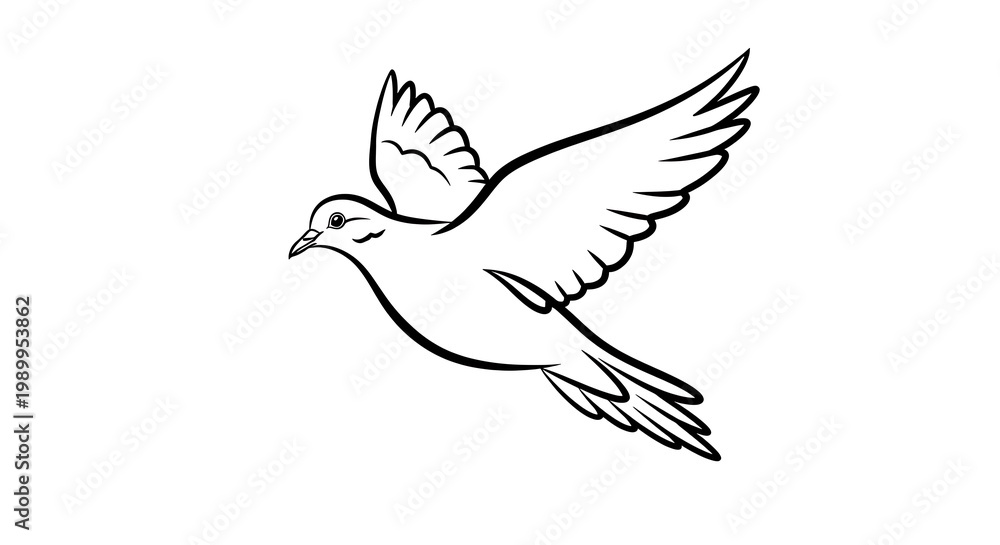 Fototapeta premium Black and white illustration of a dove in flight, wings spread, on a white background