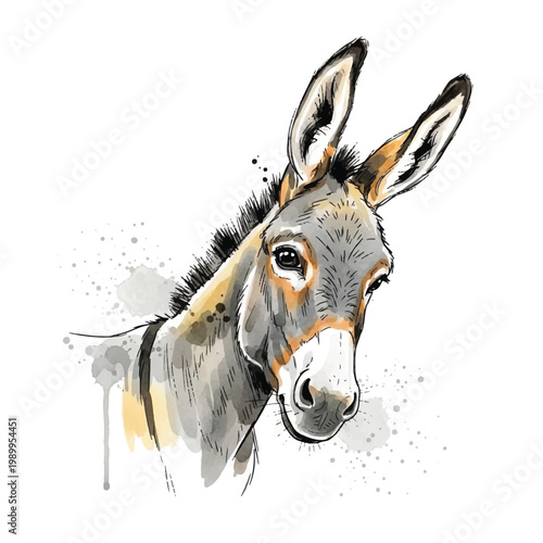 Donkey Face Portrait Animal Closeup.