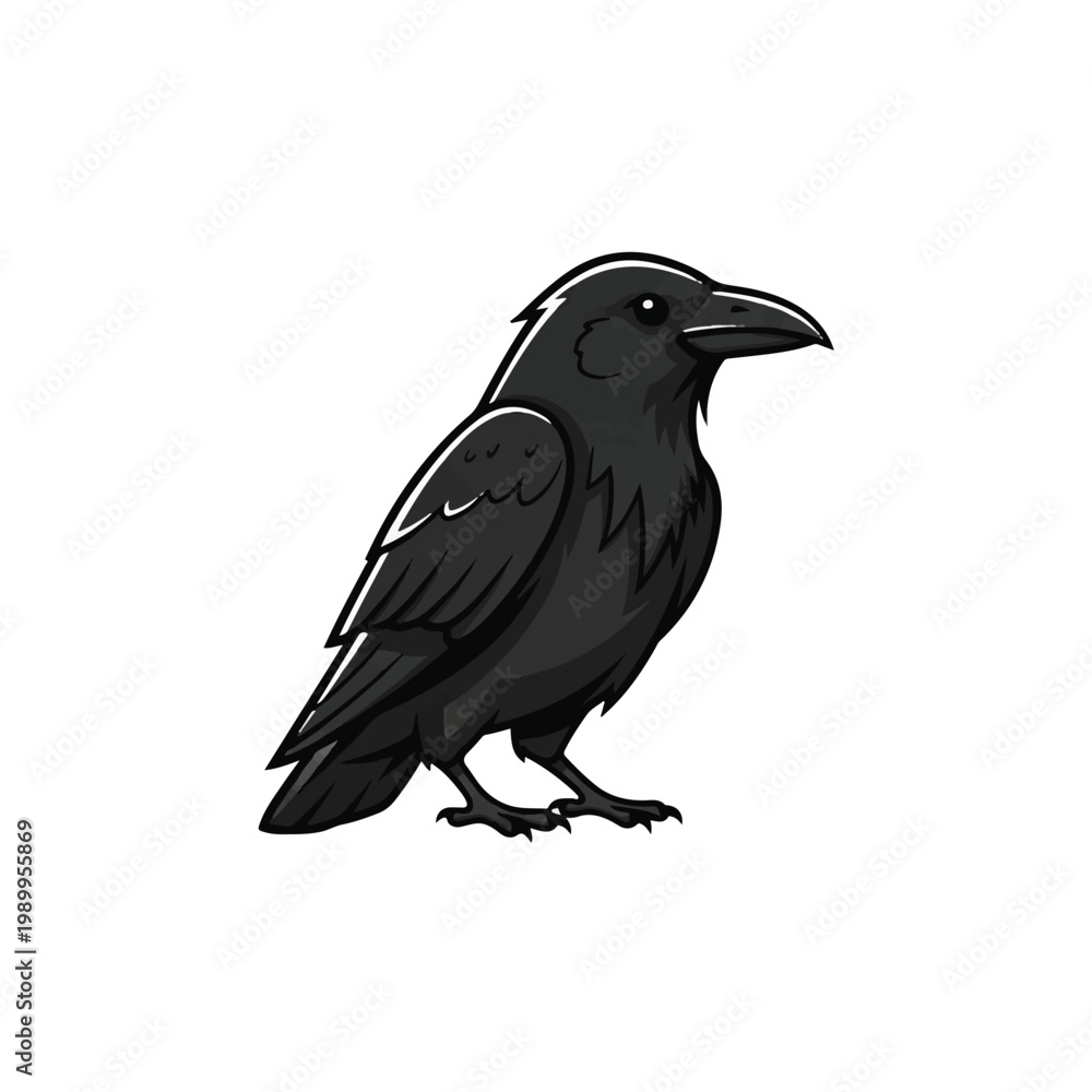 Obraz premium Black bird with sharp beak standing.