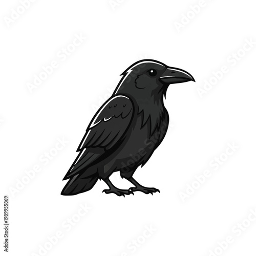 Black bird with sharp beak standing.