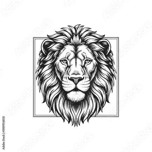Detailed illustration of a lions face.