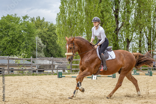 junge Frau reitet einen Fuchs im Galopp im leichten Sitz beim Gymnastik-Springen im Frühjahr auf dem Springplatz