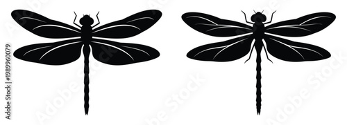 Two black silhouette dragonflies symmetrical insect illustration