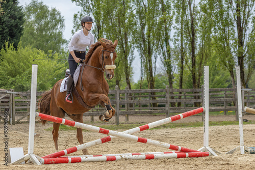 junge Frau auf einem Fuchs im Sprung über ein kleines Kreuz beim Gymnastik-Springen im Frühjahr auf dem Springplatz