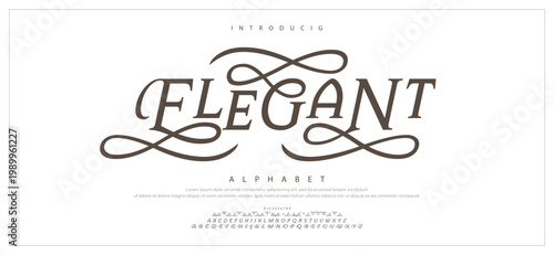 ELEGANT Elegant Modern beauty font alphabet logo. Typography beautiful luxury minimal elegant serif fonts fashion wedding vintage retro logos. vector illustration