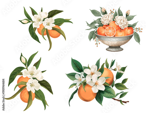 Beautiful background of fresh oranges with flowers flat design illustration isolated on transparent background