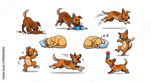 Colorful illustration of various dinosaurs and prehistoric creatures