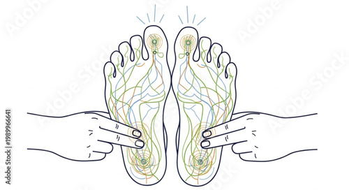 Acupressure points on human feet illustration.