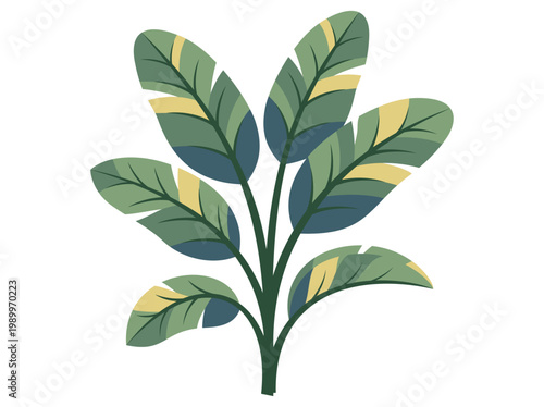 Exotic lush jungle foliage featuring colorful broad leaves cut out on a transparent background
