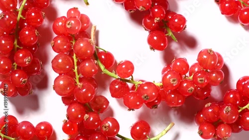 Red currant berries isolated on white background, top view. Fresh and juicy organic redcurrant berry macro shot. Tasty vegan food. Rotating backdrop. 