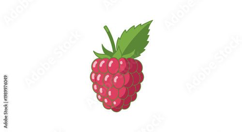 Raspberry Fruit With Green Leaves.