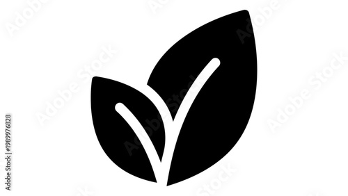 Ecofriendly icon, two leaves symbol, nature and organic concept, vector illustration isolated on white background