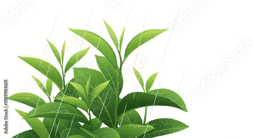 Illustrated green tea leaves are gently showered by rain in a conceptual depiction of the Grain Rain Festival (Guyu), a significant solar term in the Chinese spring agricultural calendar