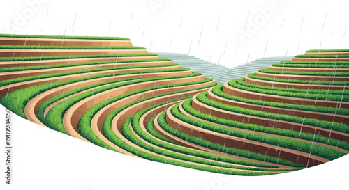 A low-angle shot of terraced fields showcasing agriculture during the Grain Rain solar term of Guyu in the Chinese season of spring, featuring lush green crops against a bright white