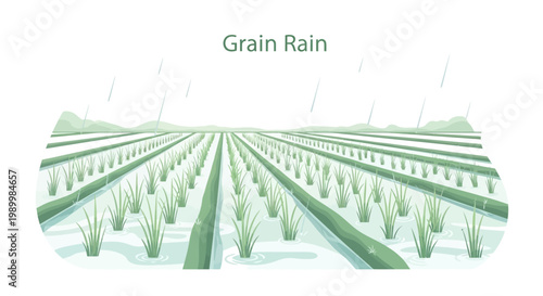 A serene depiction of Grain Rain solar term, part of the Chinese season, showcases spring agriculture with rice paddy fields under a gentle rain, presented in a minimalist style