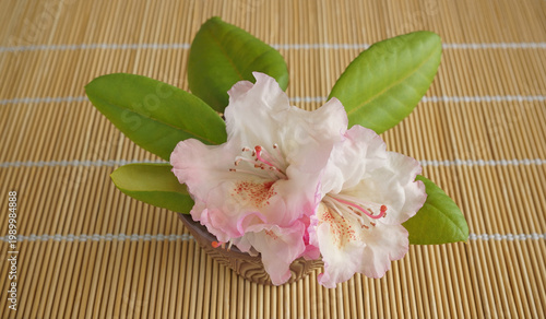 Cut Rhododendron flowers Bamboo placemat