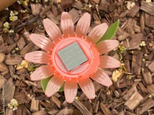 Solar Powered Flower Garden Light Decorative Outdoor Yard Lighting On Mulch Ground