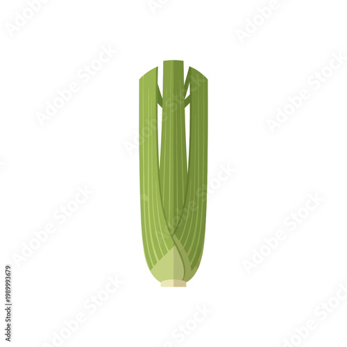 Vibrant green celery stalk illustration, a fresh and wholesome vegetable essential for healthy cooking, salads, and nutritious snacks, presented as a simple flat vector icon on white