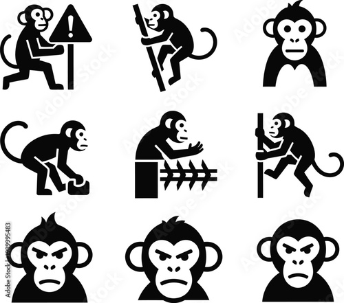 Black and white monkey in various poses and expressions monkeys primates animals