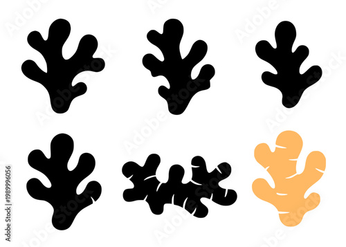 Ginger set icon illustration, in silhouette style, for spice or food design, isolated on transparent background