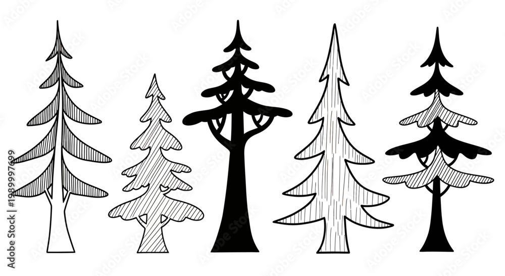 Obraz premium Stylized Hand Drawn Evergreen Trees Collection Black and White Illustration.