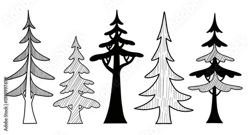 Stylized Hand Drawn Evergreen Trees Collection Black and White Illustration.