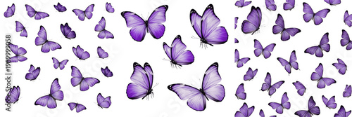 Purple Butterflies Collection PNG, Natural Flying Insect Clipart Illustration, Botanical Garden Life Graphic, Summer Nature Design Element, Whimsical Animal Art PNG set