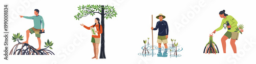 Flat vector illustration set of people exploring and studying a mangrove forest ecosystem, promoting ecotourism, nature conservation, and environmental education activities.