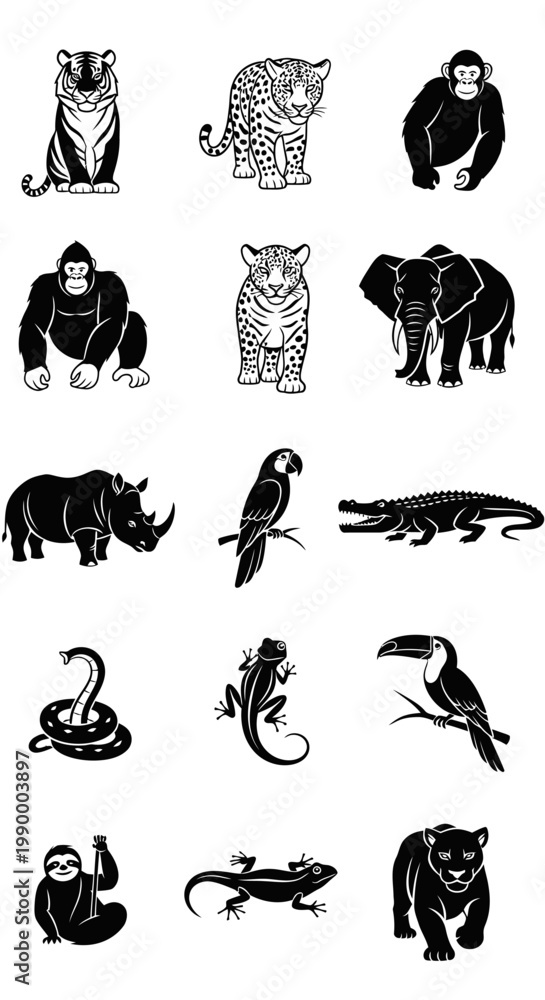 Obraz premium Collection of various wild animals.