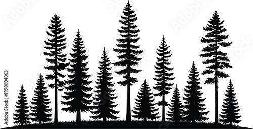 Pine tree silhouettes in natural forest composition, evergreen vector illustration for landscape design, woodland scenery, and outdoor nature graphics