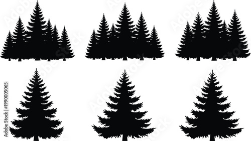 Six evergreen tree silhouettes including clustered forest groups and individual pine shapes for nature, landscape, and design concepts