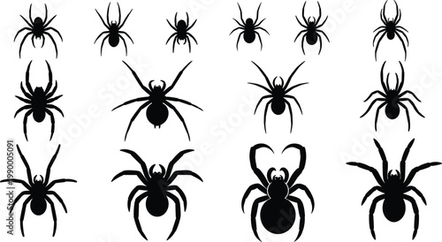 Spider silhouettes vector set creepy crawling spiders collection isolated black design for halloween decoration horror illustration and spooky themes