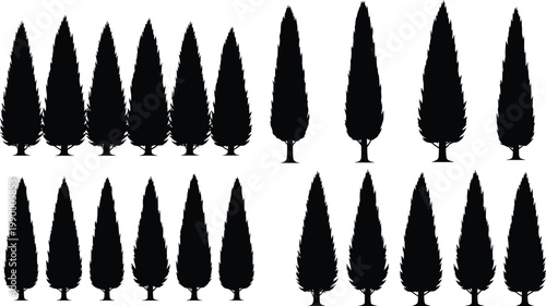Collection of cypress tree silhouettes with tree silhouette with design asset with isolated tree with tree icon with black silhouette with garden design