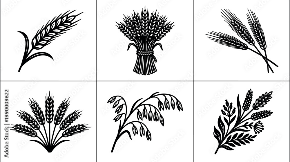 Fototapeta premium Wheat and oat sprigs with stalks and grains